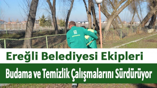 Budama ve Temizlik Çalışmaları Sürüyor