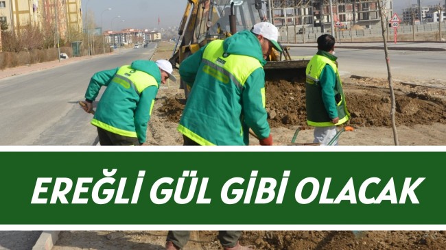 Ereğli Gül Gibi Olacak