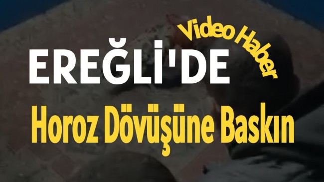 HAYVAN KORUMA DERNEĞİ’NDE HOROZ DÖVÜŞÜ’NE POLİS BASKINI!