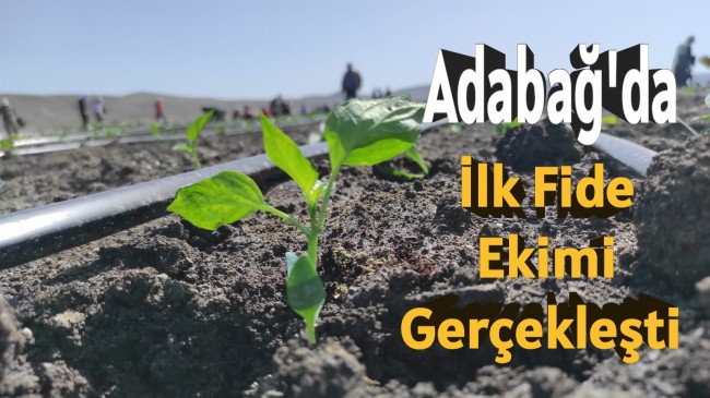 Adabağ’da Yılın İlk Fide Ekimi Gerçekleştirildi