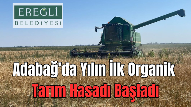 Adabağ’da Yılın İlk Organik Tarım Hasadı Başladı