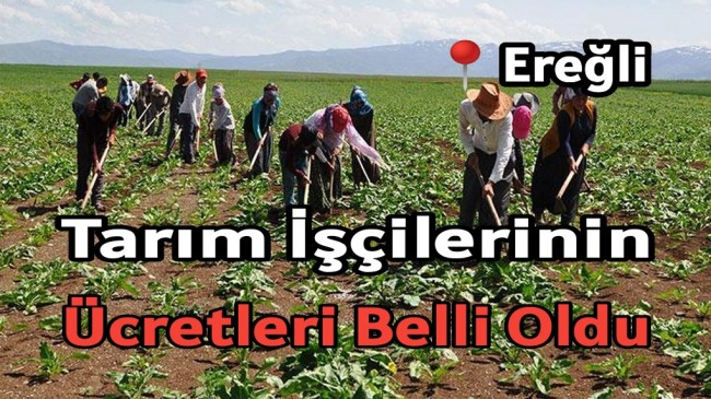 TARIM İŞÇİLERİNİN ÜCRETLERİ BELLİ OLDU