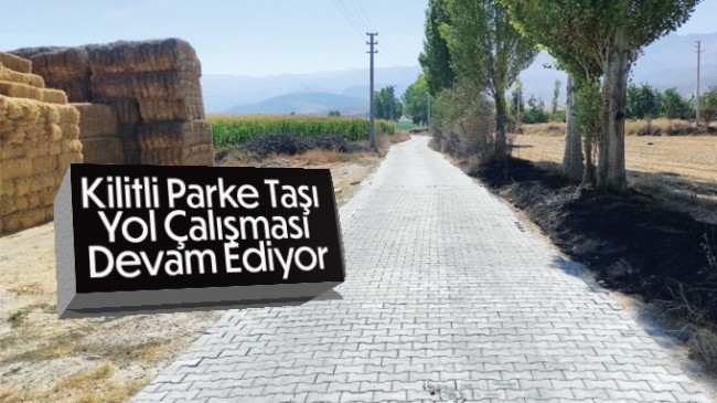 Ereğli Belediyesi Kilitli Parke Taşı Yol Çalışmasına Devam Ediyor