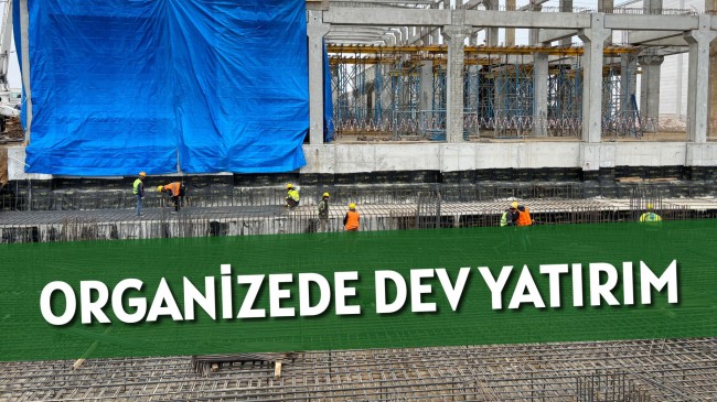 Organizede Dev Yatırım