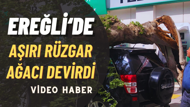 Ereğli’de Rüzgar Etkili Oldu Ağaç Devrildi