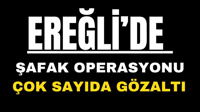 Ereğli’de Operasyon Çok Sayıda Gözaltı